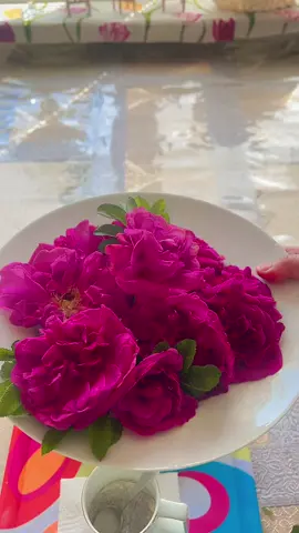 A post by @tapt7 on TikTok