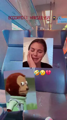 A post by @boqoradii_hargeysa on TikTok