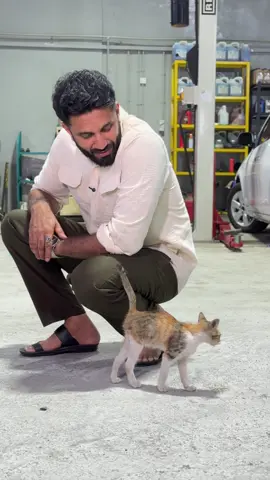 A post by @ameen_mannan on TikTok caption: അഞ്ച് കൊല്ലം വാറണ്ടിയുള്ള ടയർ.! #ameenmannan #gemmacarcareabudhabi @GemmaCarCare-Abudhabi. 