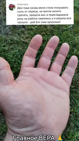 A post by @pomocch on TikTok