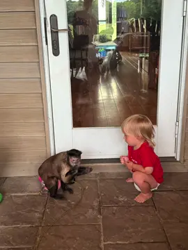 A post by @lifewithgaitlyn on TikTok caption: It’s the weekend!!!Let’s go go to Gaga’s house and tell her to come bug hunting @dcdc106(Delane) @Brittany 