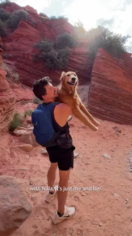 A post by @adventuringwithnala on TikTok caption: Discovering new things to do with Nala in Utah thanks to @Tripadvisor | Travel Planning #TripadvisorPartner
