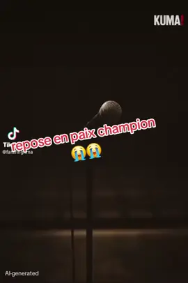 A post by @bleble.dankantiqui on TikTok