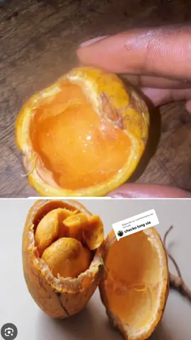 A post by @chekokafayid1 on TikTok caption: Réponse à @Konaté 