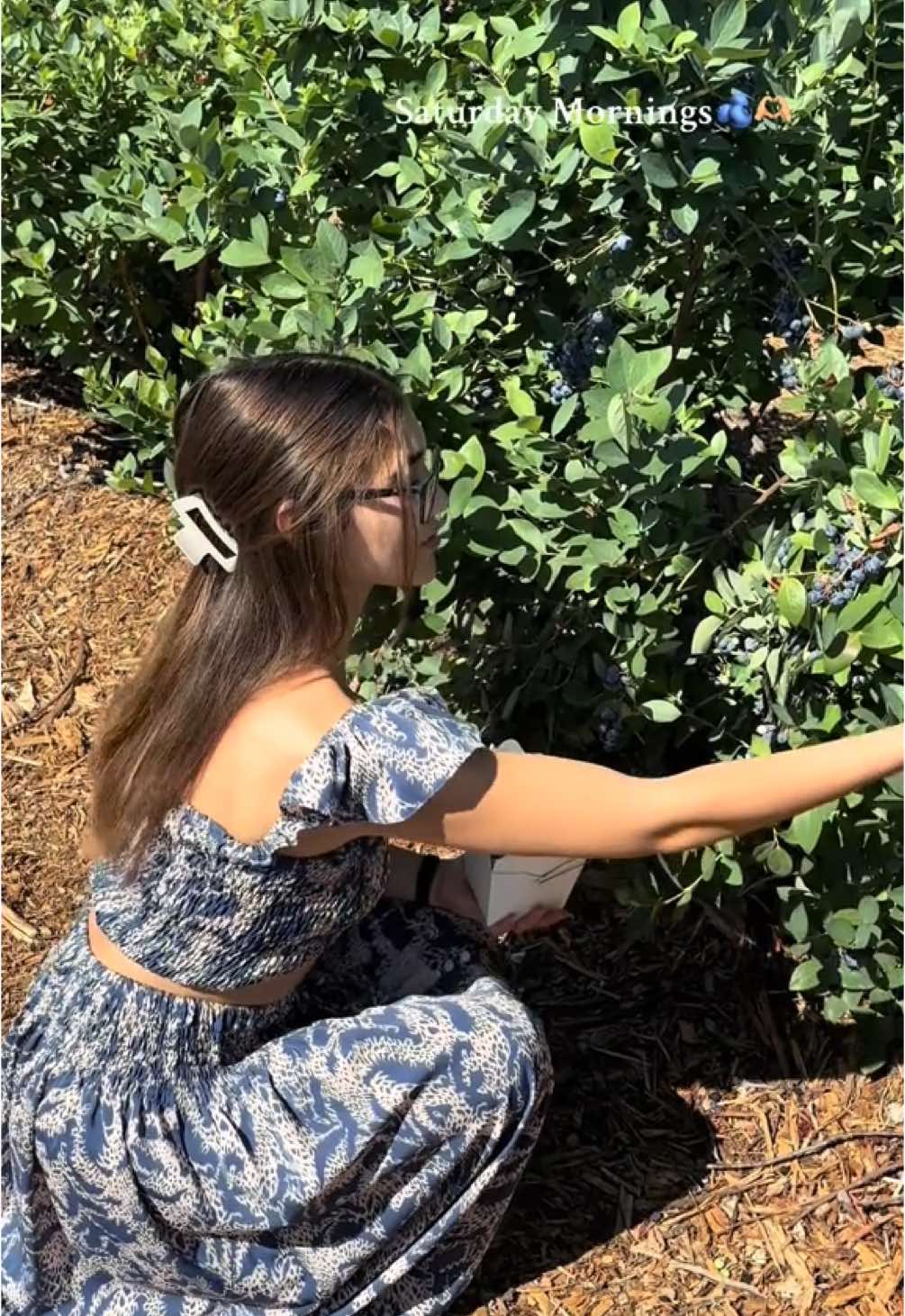 A post by @haileyy.jade on TikTok caption: Such a fun and mindful activity! My favorite fruit to eat and filled with antioxidants! 🥹🫐⭐️🤍 Happy Saturday everyone!!  #blueberrypicking #vegan #organic #wholefood #plantbased #yogi 