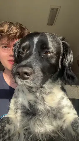 A post by @rodrigogrelha on TikTok