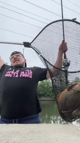 A post by @antonioslimgovea on TikTok caption: Ejute mi revancha wey!😈💯🔥🎣🐟🐠🌽🤣🤣🤣😂👍🏻😆🤦‍♂️ ✨ig: _antoniogoveaoficial✨ #mexican#mexicano#mexicanamerican#mexicansbelike#mexicanproblems#mexicanmemes#mexicantiktok#latino#latinos#latinostiktok#latinosbelike#parati#chistoso#chiste#comedia#comediante#pendejo#nomames#pescador#pescando#pescado#pescaesportiva#pescadeportiva#naturaleza#mivida#comediaenespañol#comediamexicana#chistesmalos @slimFATZZ Podcast 