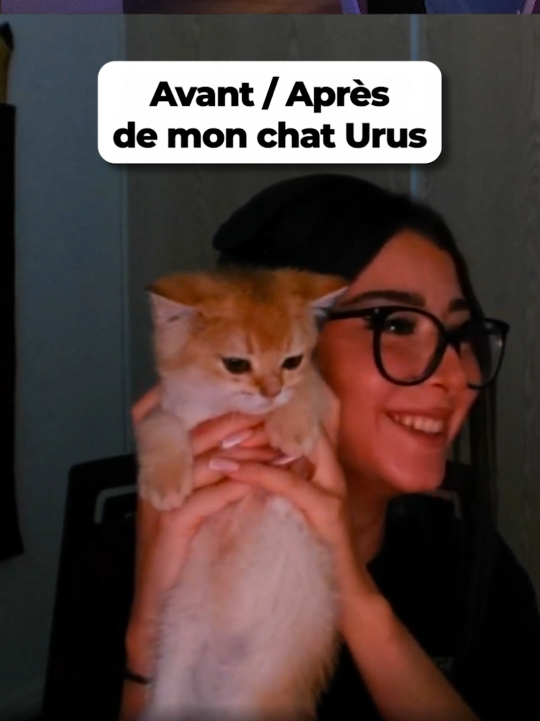 A post by @helydiaa on TikTok caption: Avant / Après de mon chat #helydia #pourtoi #chat 