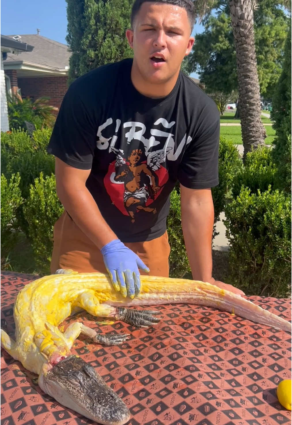 A post by @ralphthebaker on TikTok caption: Y’all check out this smoked barbecue alligator @LovieSauceBBQ Next level 
