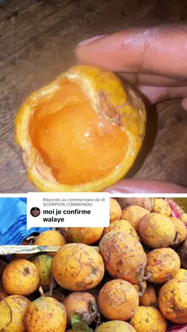 A post by @chekokafayid1 on TikTok caption: Réponse à @iB SCORPION COMMANDO 