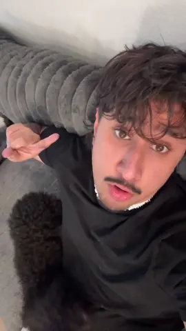 A post by @koda_steven on TikTok