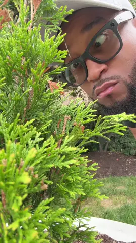 A post by @deejay2funnny on TikTok caption: Someone goin to have to take these meta glasses from me @Ray-Ban @raybanmeta #deejay2funny #metaglasses #funny 