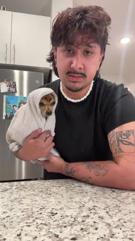 A post by @kodasteven on TikTok caption: Me😀 Gimli😴 @EreborPupBros #kodasteven 
