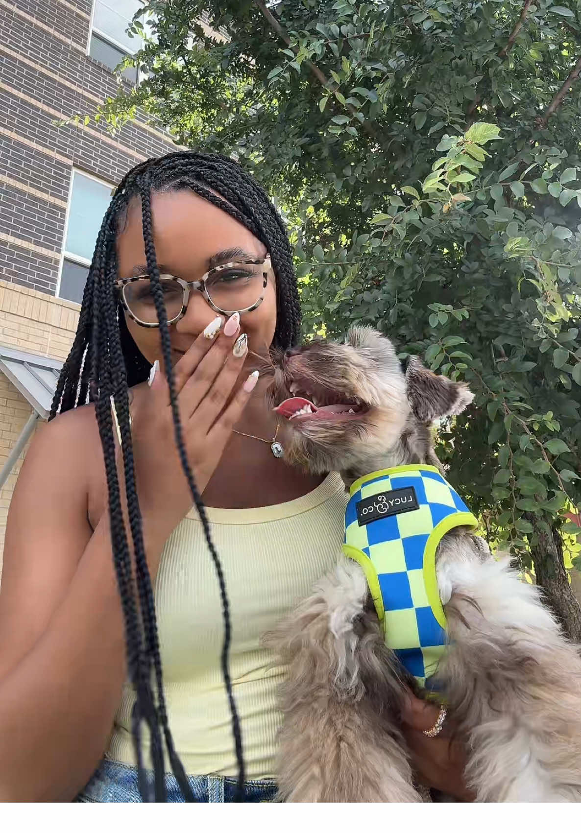 A post by @joiya.lanae on TikTok caption: When you watch your sister’s dog for the weekend😂 @Jayla Henry #dogsitting #dog #imamom #thehenrys #cooperhenry 