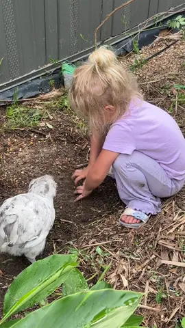 A post by @kaydee_kelly on TikTok caption: Worm hunting with her fav chicken (rooster) 🐓😂 #chickens #children #outdoor #homestead #farm #hunting #rooster #kidsbeingkids #mama #ditl #texas #summer 