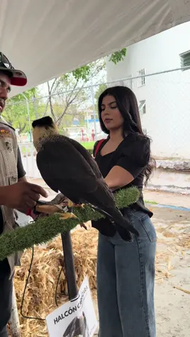 A post by @fatimajaime_oficial on TikTok caption: Que monitaaa 🙈❤️#parati #viral #fyp #fatimajaime #aves 