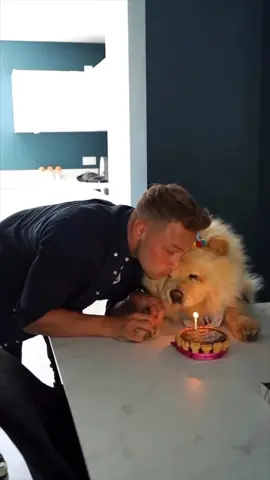 A post by @carlcunard on TikTok caption: Happy heavenly birthday, my little lion. Today would’ve been your 5th birthday, and I wish more than anything you were still here to celebrate. Not a day goes by that I don’t think about you - your warm cuddles, your little paws running to greet me like I was your whole world. You were more than a pet, you were my best friend.  I still feel you everywhere, and I carry you with me always. I hope you’re running free up there, chasing all the toys and treats you could ever want. I love you forever, my sweet baby. Happy birthday. 💫🦁🐾