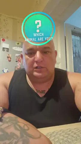 A post by @sandorfarkas535 on TikTok