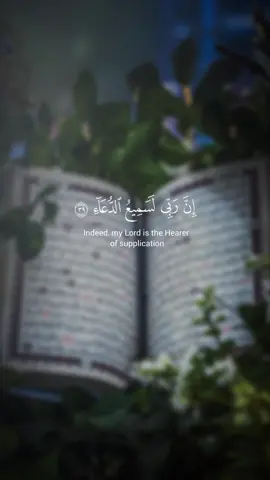 A post by @sarah_islam_ on TikTok caption: #CapCut 