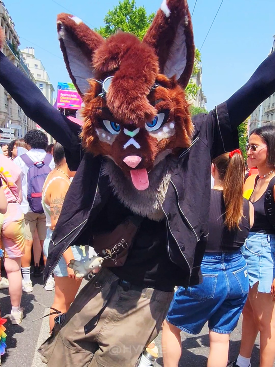 A post by @hyroe on TikTok caption: I'm bringin' sexy back 👀 📷 : @Rexxou and Silent #fursuit #marchedesfiertés #lyon 