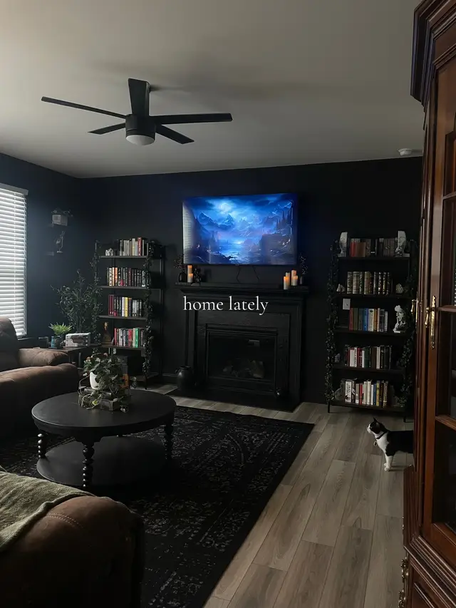 A post by @kcallanott on TikTok caption: photos of home lately and of course some books🩶 #homeinterior #darkacademia #bookworm #homedecor #booklover #gothichome #gothicdecor #darkaesthetic #readersoftiktok #cozyathome #blackwalls #darkinterior 