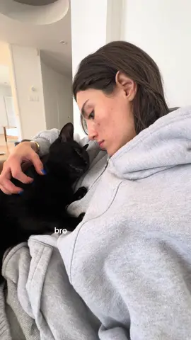 A post by @madelineargy on TikTok caption: cat drafts cuz I’m in Geneva lol 