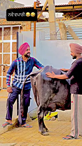 A post by @happycalifornia751 on TikTok caption: 😂😂Haha #funnyy #funnytiktok #punjab #punjabi #punjabitiktok #tiktok_india #tiktokindia #tiktok #canada #surrey #brampton #toronto #usa #usa_tiktok #fyp #fypシ゚viral #fypシ #fypage #foryou #foryoupage #foryourpage #trending #trend #trendy #europe #australia #melbourne #nz #happycalifornia751 #dubai #portugal #italy #germany #london #uk #california #desi #girls #pakistan #lahore #karachi #nztiktok #funny #funnyvideos #comedy #comedyindia #spain #sydney #perth #cali #capcut #status #brownboy #india #punjabisong #punjabisongs #bollywood #song #podcast #pindawale #indian 