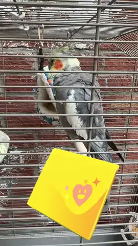 A post by @sarah_islam_ on TikTok