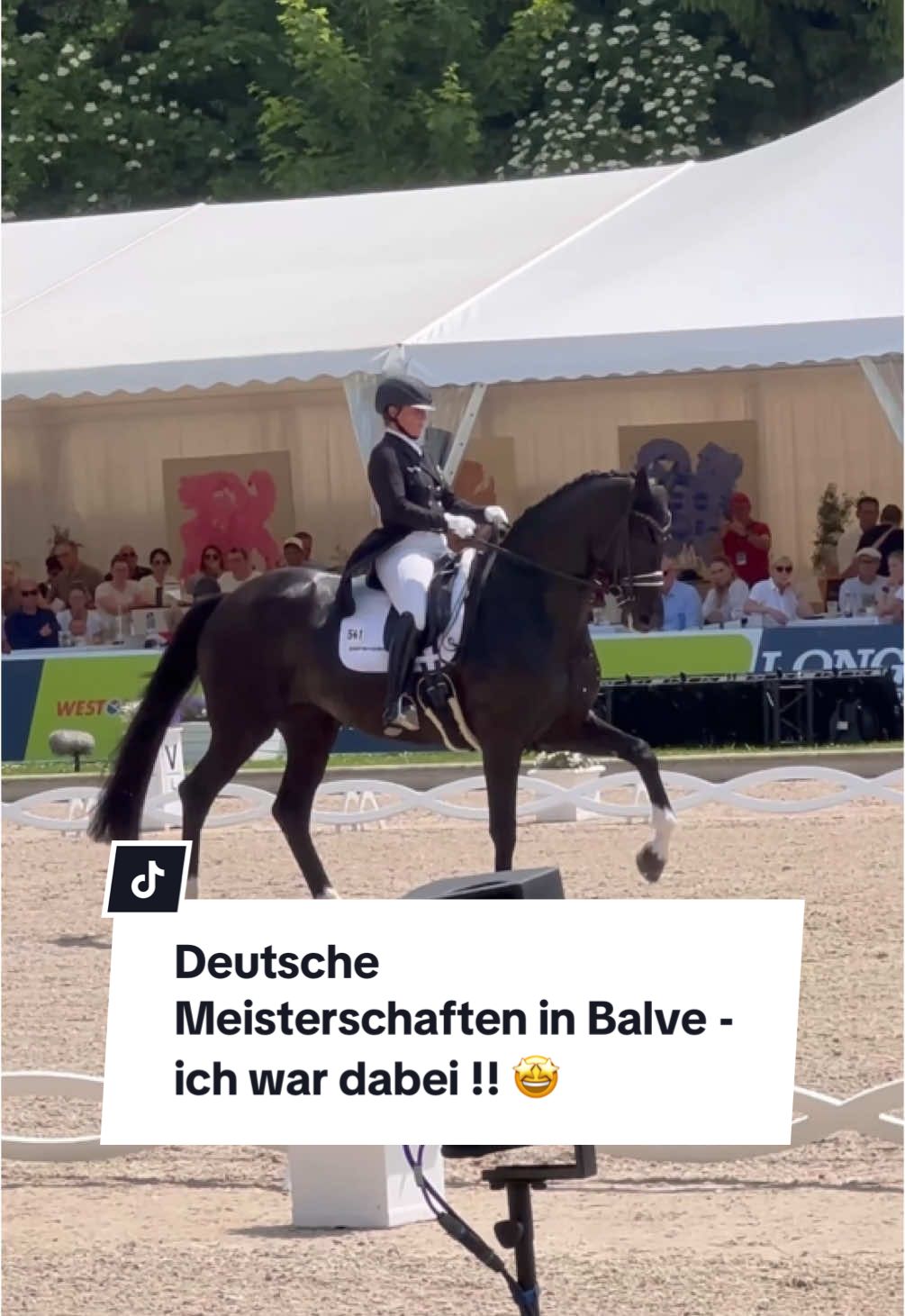 A post by @franziundfleur on TikTok caption: Team Isabell Werth oder Jessica von Bredow-Werndl? Irgendwie hab ich das Gefühl, dass sich da 2 Lager in der Reiterwelt aufgetan haben 😂 Ich bewundere sie beide, Jessica dafür, wie schön sie auf dem Pferd sitzt, finde Isabell Werth allerdings um einiges stärker, was die Technik betrifft und mag sie dafür, dass sie so authentisch ist. Ja, das bietet oft Angriffsfläche, aber ihr ist die Wahrheit wichtiger, als von allen gemocht zu werden und damit kann ich mich irgendwie sehr gut identifizieren. Wo andere alles weichspülen und schön waschen, ist sie eben Isabell Werth und das beeindruckt mich. Bin gespannt, was ihr dazu sagt 🫶🏻  IG: franziskaelea  #balve #longinesbalveoptimum #deutschemeisterschaft #reitsport #isabellwerth #wendydefontaine #jessicavonbredowwerndl #fredericwandres #dressurreiter #dressursport #dressurpferd 