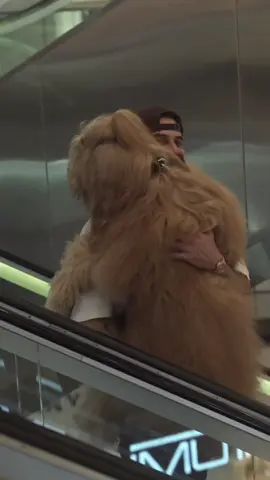 A post by @brodiethatdood on TikTok caption: I’ll always be his dad. Happy Father’s Day to all the human and dog dads 🐶👨🏻 #fathersday #dogdad #goldendoodle #petparent 