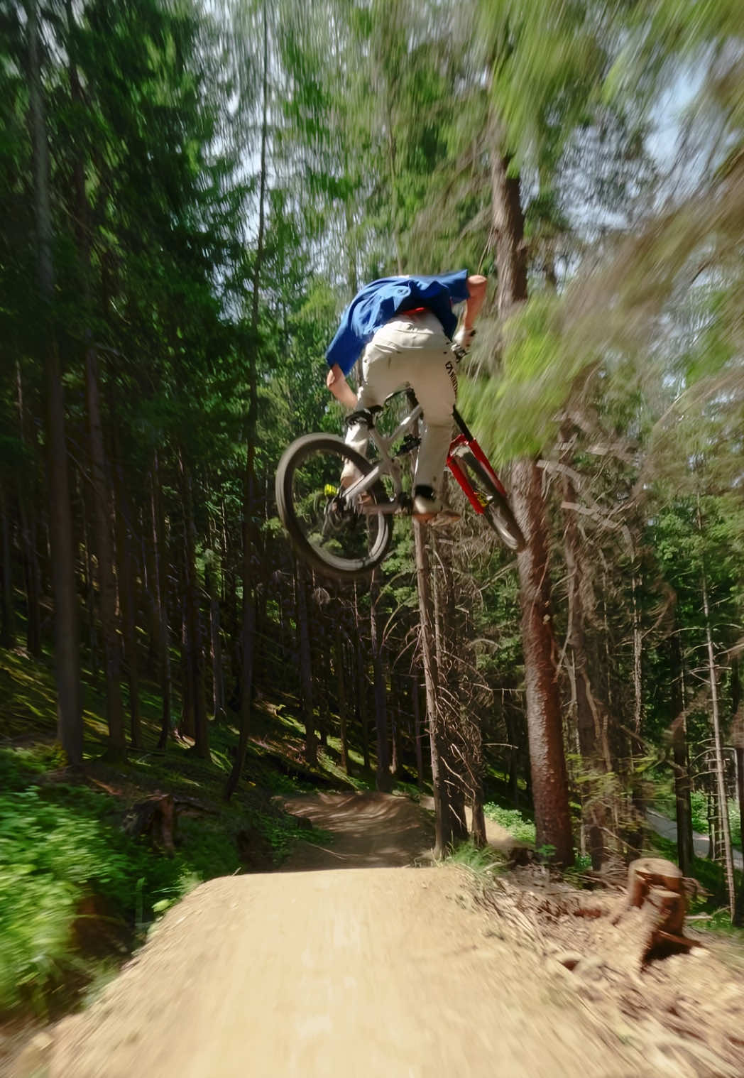 A post by @wibmergabriel on TikTok caption: Full Speed✊😮‍💨 @Gravity Card providing the fun with 30 bikeparks and only 1 Card😍 #fyp #foryou #viral #fürdich #fypシ #fy #fpv 
