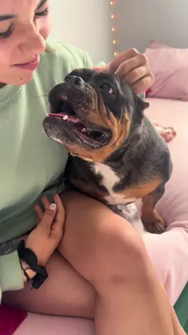A post by @ragstorichesanimalrescu on TikTok caption: Snickers enjoying some cuddles ❤️ she’ll be going to the vet this week to schedule her vaccines/ spay/ heartworm testing/ microchip etc. if you’d like to donate link in bio. #puppy #puppylove #puppylover #puppies #puppiesofinstagram #pup #dog #dogsofinstagram #doglifestyle #cute #wisp #wispy #adorable #follow #followus #insta #instagram #staystinky 
