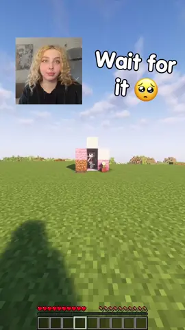 A post by @lucky.maker on TikTok caption: House for Balerina 💖☕#minecraft