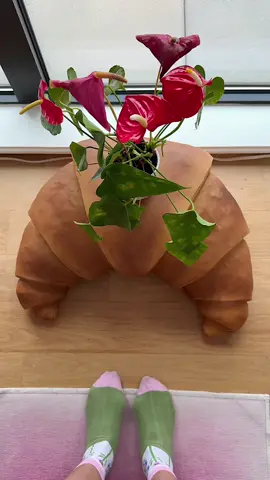 A post by @honeyidressedthepug on TikTok caption: 🥐 🥐🥐 #homegoodsfinds #hgfinders 