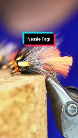 A post by @tiesflies on TikTok caption: The Nessie Tag To purchase a half dozen, pm me.  Hook: Ahrex LE880 size 12  Thread: TheFlySmith 32D gsp  Body: Magpie materials squirrel mixed with full mill tactical micro flash  Hackle: Sideling hill hen  Resin: uv craft  Tools: TheFlySmith  Tail: Poly floss  #TheFlySmith  #flytying #magpiematerials #magpieturkeybiots #magpiefinebeaverdubbing #whitingfarms #naturesspiritflytying #lidrig #fly #flytyingjunkie #flytyingtutorial #flytyingaddict #flytok #satisfying #flytyingnation #fyp #harelinedubbin  #fishing #flyfishing #pescamosca #Upavon #fullingmill #bespoke