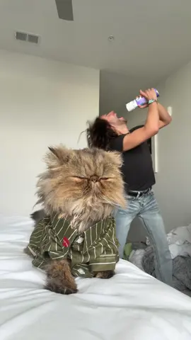 A post by @bryanthediamond on TikTok caption: NOT HER TAKING A NAP💀💀 SOS #fyp #trend #cat #CatsOfTikTok #bryanthediamond 