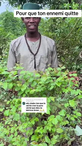 A post by @chekokafayid1 on TikTok caption: Réponse à @teriijeoma73 