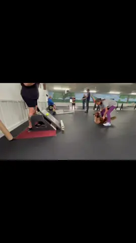 A post by @hollabackbullies on TikTok caption: Otter and his kid are doing great together! #flyball  #flyballdog  #dachshund  #flyballtraining  #dachshundsoftiktok 