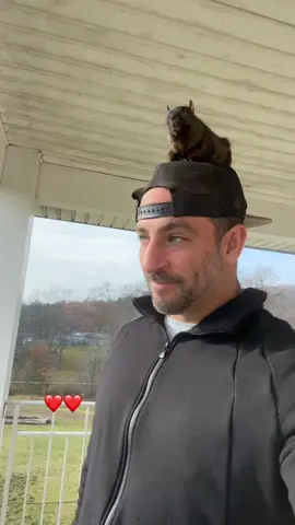 A post by @peanut_the_squirrel12 on TikTok caption: My world ❤️ #fyp #video #viral #fypp #insta #animal #pets #peanut #peanutthesquirrel #squirrel 