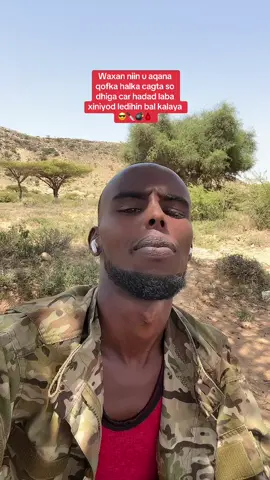 A post by @taliye_fadhiyo_90 on TikTok caption: Niinki dhimasho u xiisa qaba halka haso gadho niina gurigisa loguma hanjabo 😎🩸🔪