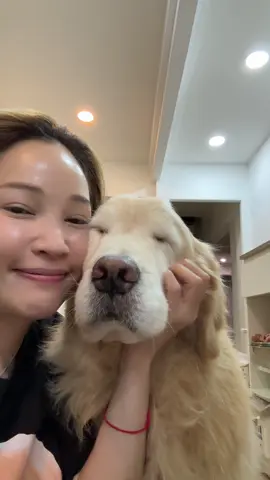 A post by @japanfriends on TikTok caption: Power bank ของเรา #จุ๊มเหม่งมีอะไร #จุ๊มเหม่งเจไดใจดี 
