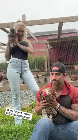 A post by @peanut_the_squirrel12 on TikTok caption: 🤣 @P’nuts Freedom Farm #fyp #video #viral #fypp #insta #animal 