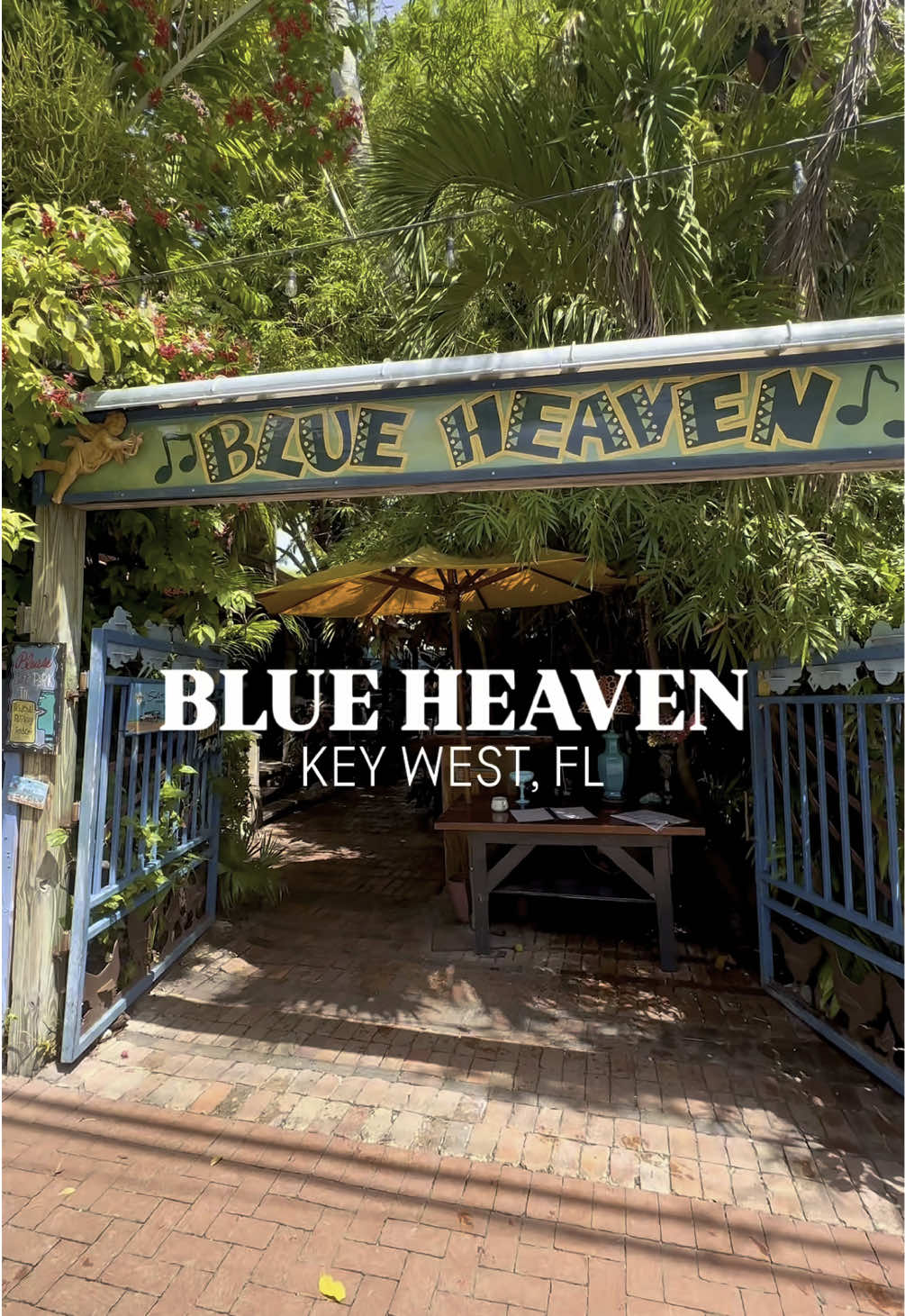A post by @thingstodo.florida on TikTok caption: Enjoy Breakfast with Roosters and Lunch in the shade at the tropical, fun, and funky Blue Heaven!  Located in Key West, Florida, Blue Heaven is an iconic Floridian-Caribbean restaurant that is open for breakfast, lunch, dinner, and serves one of the best rated Key Lime Pies you’ll find!  Blue Heaven also offers indoor and outdoor seating with live entertainment and frequent rooster visits. Next time you’re hungry in Key West, check out Blue Heaven and see why the roosters love this spot! 🐔🌴🎸 • • • • • #blueheaven #keywest #floridakeys #islandlife #rooster #restaurant #florida #visitflorida #thingstodoinkeywest