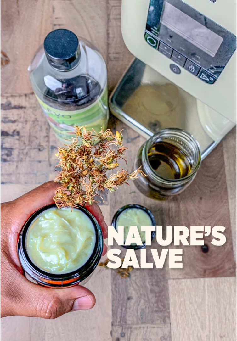 A post by @plantedinthegarden on TikTok caption: Discover nature's first aid kit in a jar If you don't know it yet, St. John's Wort  is traditionally used for nerve pain, it can also be applied topically on woulds and skin irritations like eczema or psoriasis. Lastly, when made into a salve, it can be used to soothe muscle and joint pains We use @LĒVO to quickly infuse St. John's Wort with avocado coconut oil within hours instead of weeks. Below is the salve recipe: 1/2 cup St. John's Wort infused oil 1/2 cup Coconut oil 1/2 cup Shea butter Use a double boiler to slowly steam and melt shea butter, coconut oil. Then add St. John's Wort infused oil. Pour the mixture into a jar and let cool. Optionally, you can let it cool in the pot and then using a hand mixer, whipp for a thicker and creamier blend. **Consult a healthcare professional before using any herbal remedy including this salve to ensure it is safe for your specific needs. Save this recipe before it disappears from your feed! Want to make your own infusions at home? Tap the link in bio to discover why LĒVO is our favorite tool for DIY herbal creations! #plantmedicine #diyskincare #LEVOpartner #LEVOmade #herbalmedicine #SelfCare #plantbased #naturalremedies #herbalinfusion #sponsored