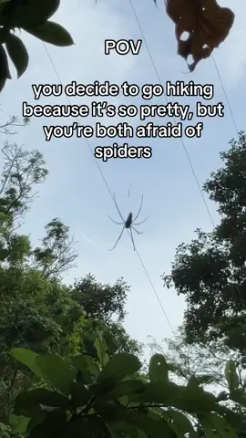 A post by @iris_de_waard on TikTok caption: Net zo groot als Pim zijn hand 🕷️