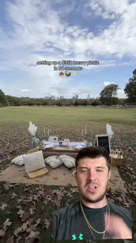A post by @themoneyshark on TikTok caption: She Charges $350 for a Picnic…Genius Side Hustle!  #business #businessideas #sidehustle #sidehustleideas #entrepreneur #fyp 