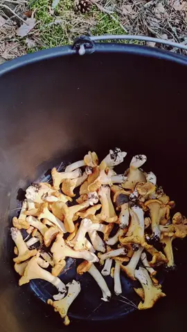 A post by @martunbalog on TikTok