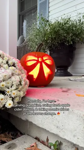 A post by @peonyandhoney on TikTok caption: Fall girly at heart 🍂 