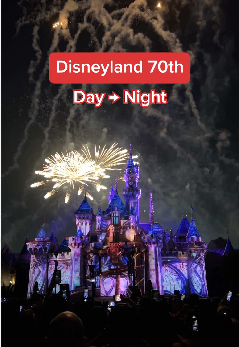 A post by @disneyanimation on TikTok caption: A little bit of magic every night and every day at the #Disneyland Resort 70th celebration ✨ Music by @Jonas Brothers 🎶