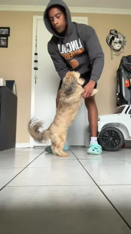 A post by @ on TikTok caption: he loved it… I think #fyp 